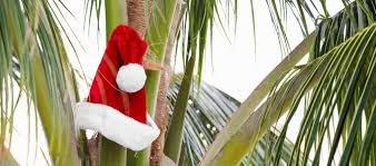 Image result for weihnachten in australien