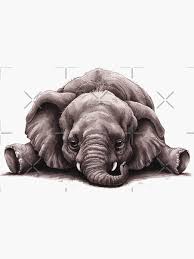 Image result for sad elephant