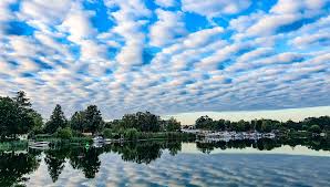 Image result for lastactionseo bing