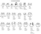Evolution of Game Controllers | Gaming | Gear