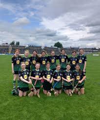 Image result for Sarsfields Hurling Club