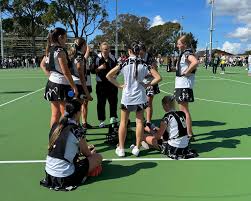 Image result for Ledbury Magpies Netball Club