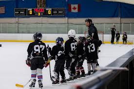 Image result for Adur Skater Hockey Club