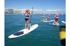 Image result for Paddletastic