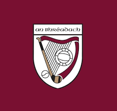 Image result for Bredagh G A C