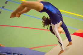 Image result for Arabian School Of Gymnastics