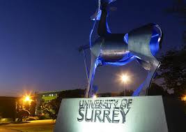 Image result for University Of Surrey