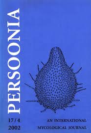 Attēlu rezultāti vaicājumam “Diderma ochraceum young”