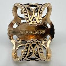 Image result for Coventry Dragons