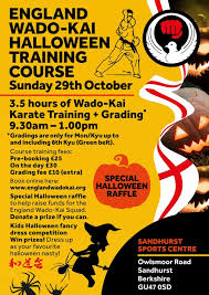 Image result for Thatcham Wado Karate Club