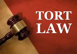 Image result for tort