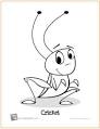 Cricket coloring page