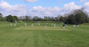 Image result for Old Stacians Cricket Club