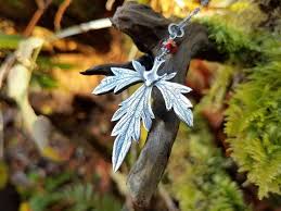 Attēlu rezultāti vaicājumam “Aconitum napellus leaf”