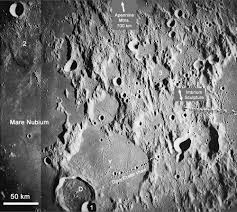 Attēlu rezultāti vaicājumam “Craterium minutum young”