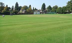 Image result for Millom Cricket Club