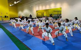 Image result for Martial Art Centre of Excellence