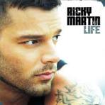 Ricky Martin: 'I Am a Fortunate Homosexual Man'