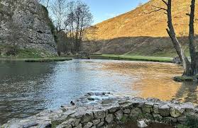 Image result for England Staffordshire Birding Club