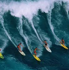 Image result for Scarborough Malibu Surf Club