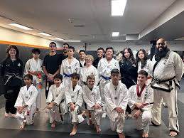 Image result for Arlington Martial Arts Academy