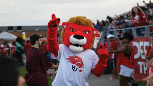 Image result for York University Cricket Club