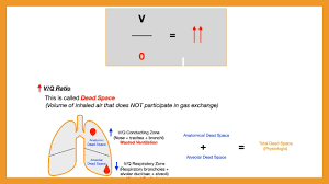 Image result for  v    q