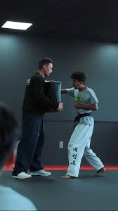 Image result for Absolute tae kwon do association