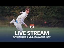 Image result for The Rayleigh Cricket Club