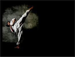 Image result for Championship Martial Arts Frisco