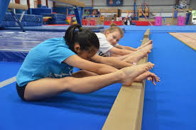 Image result for Aerodyne Gymnastics Club