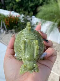 Αποτέλεσμα εικόνας για jade dragon turtle