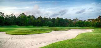 Image result for St James casuals cricket club