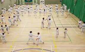 Image result for Ataru Shotokan Karate Club