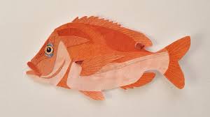 Image result for Chrysoblephus cristiceps