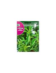 Image result for Stevia rebaudiana