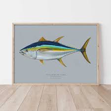 Image result for Thunnus albacares
