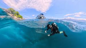 Image result for Simply Scuba