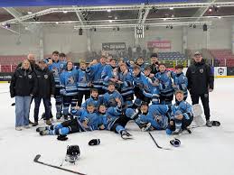 Image result for Chelmsford Hockey Club