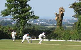 Image result for Winford Cricket Club