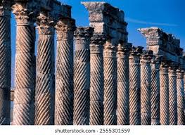 Attēlu rezultāti vaicājumam “Apamea ophiogramma”