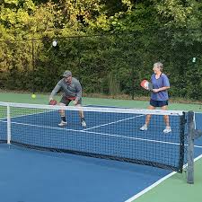 Image result for 1st New Forest Pickleball Club