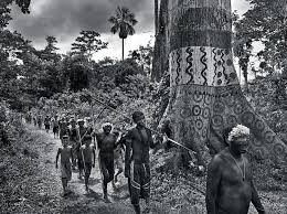 Image result for sebastiao salgado
