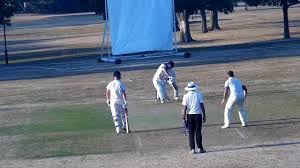 Image result for Upminster Cricket Club