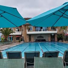 Image result for Southend Shogi Club