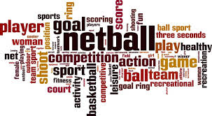 Image result for Blue Jays Netball Club