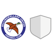 Image result for Ballinamallard United Football Club