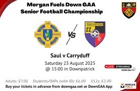Image result for St Patrick`s Gac, Saul