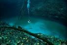 The Amazing Underwater River in Cenote Angelita, Mexico | Crystal ...