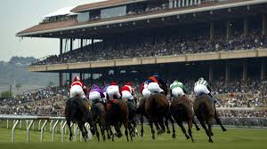 Image result for The Horse Racing Club